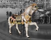 Carousel Horses 18